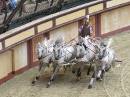 Hästkapplöpning på Colosseum.
