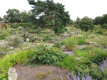 30 juli 15 Kew rock garden 11